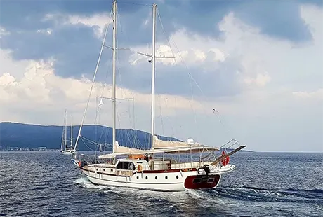 4 kabin tekne kiralama elifim 11
