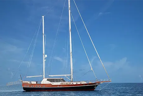 5 kabin lüks kiralık tekne dragon fly