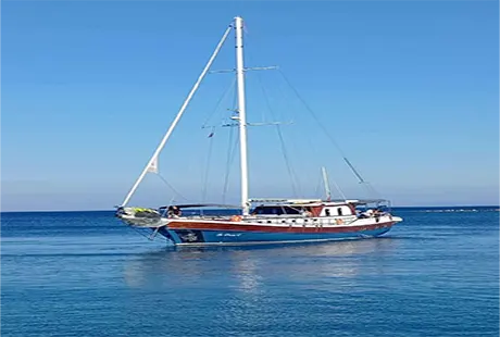 bodrum 8 kişilik tekne kiralama 