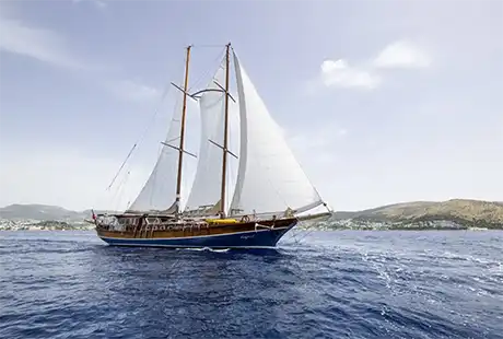 kuğu 1 yelken seyri yapan tekne 