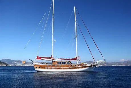 çift direkli bodrum guleti perrinita 